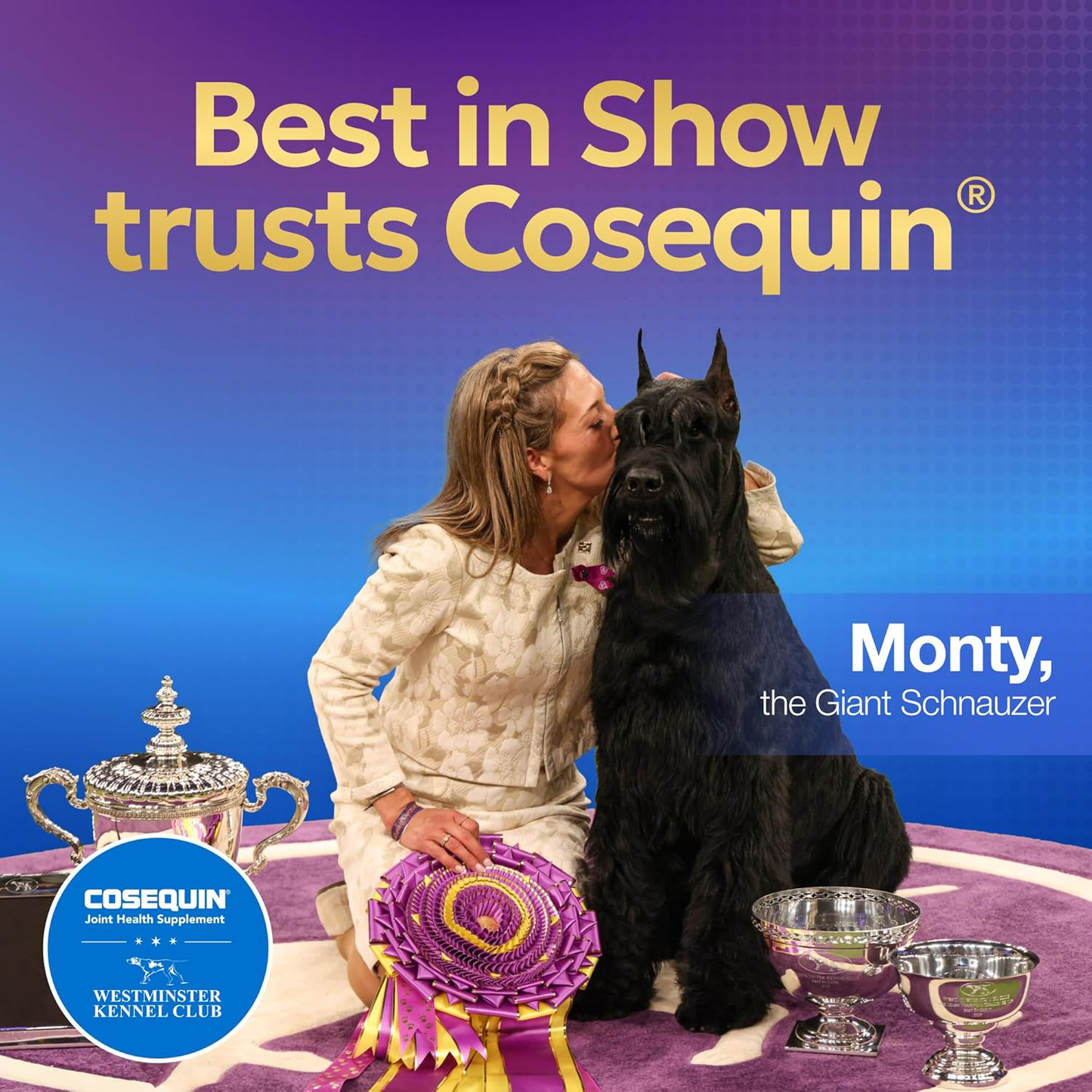 Cosequin® Joint Health Supplement for Dogs Chewable Tablets with Glucosamine, Chondroitin, and MSM